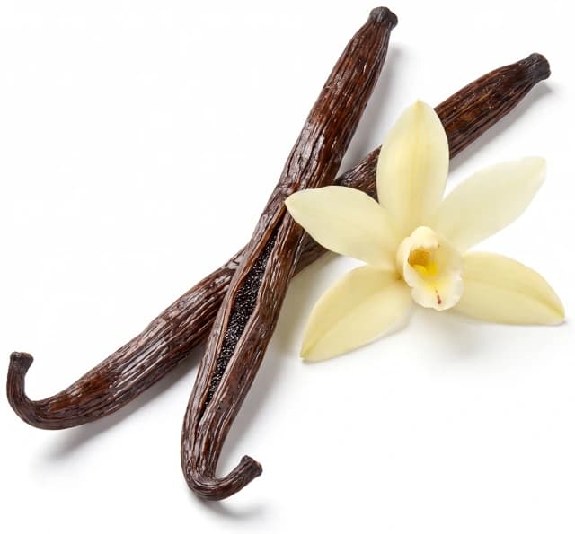 Vanilla bean pods and a vanilla flower